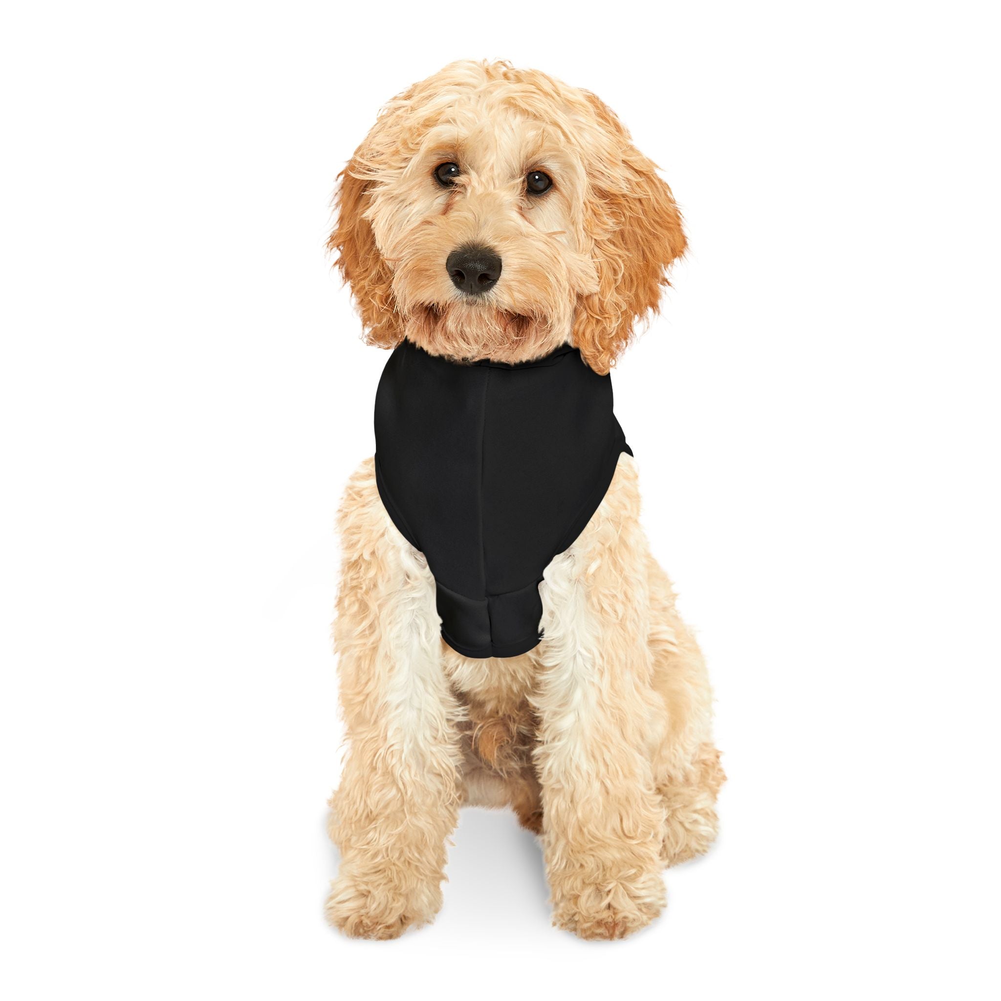 "Protect Ya Furry Friends" Best Era Pet Hoodie