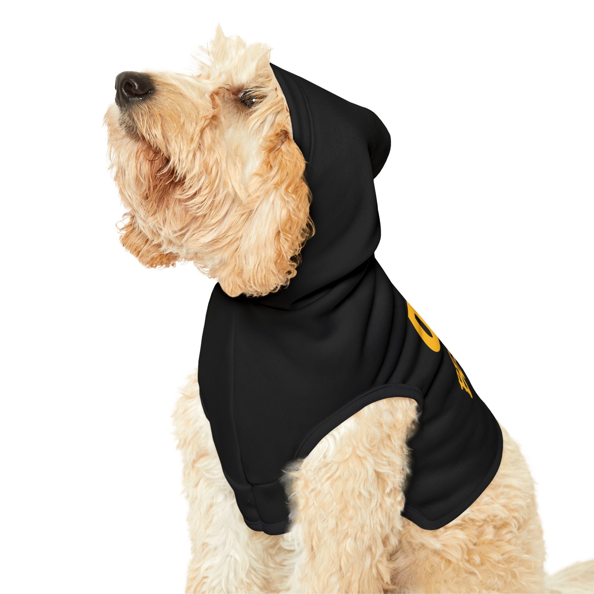 "Protect Ya Furry Friends" Best Era Pet Hoodie